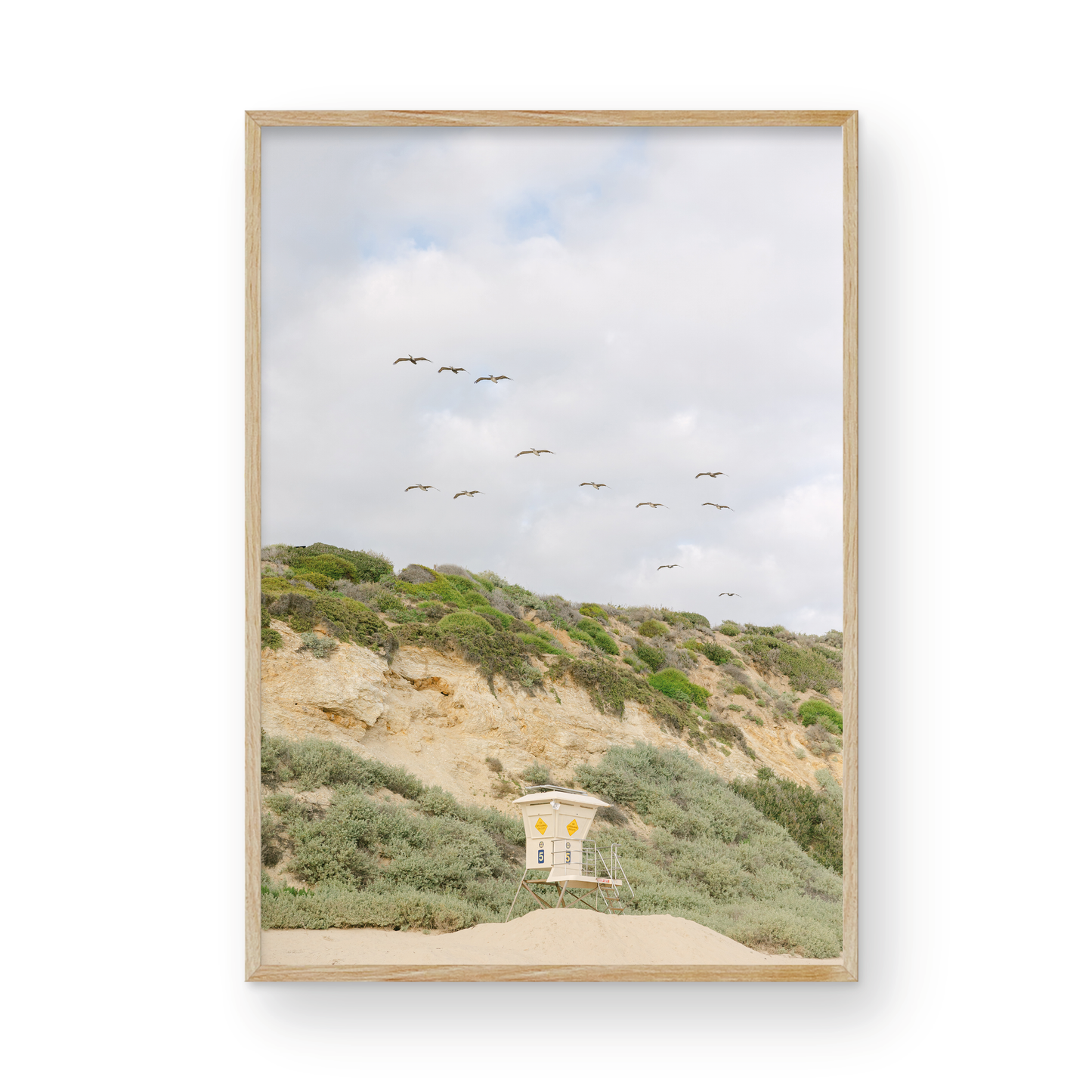 CRYSTAL COVE STATE BEACH NO. 6