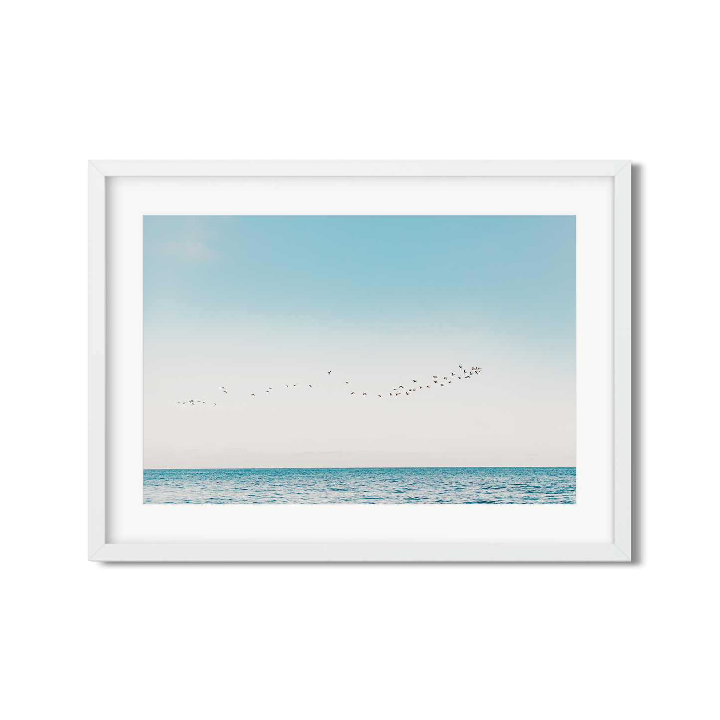 BIRDS NO. 11