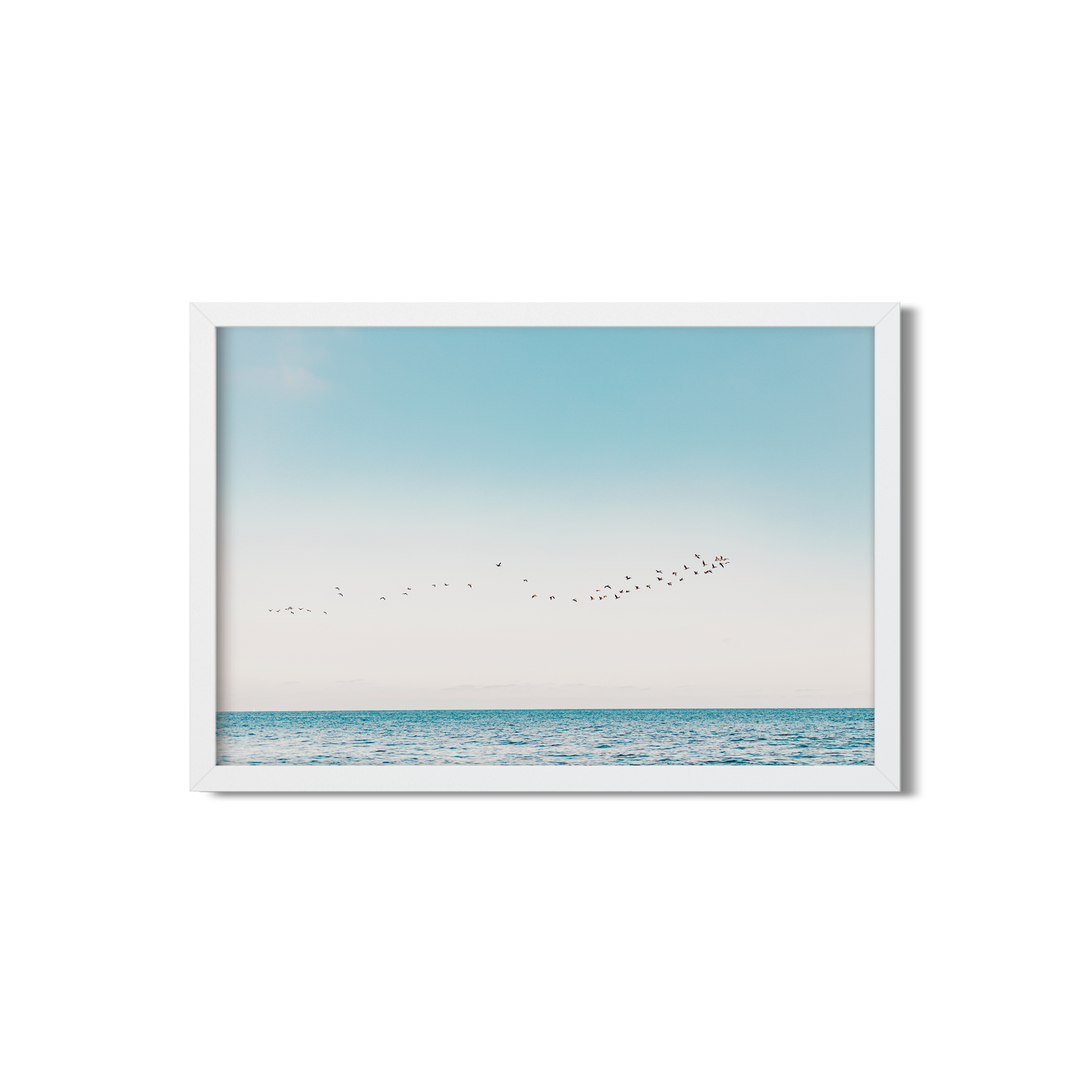 BIRDS NO. 11