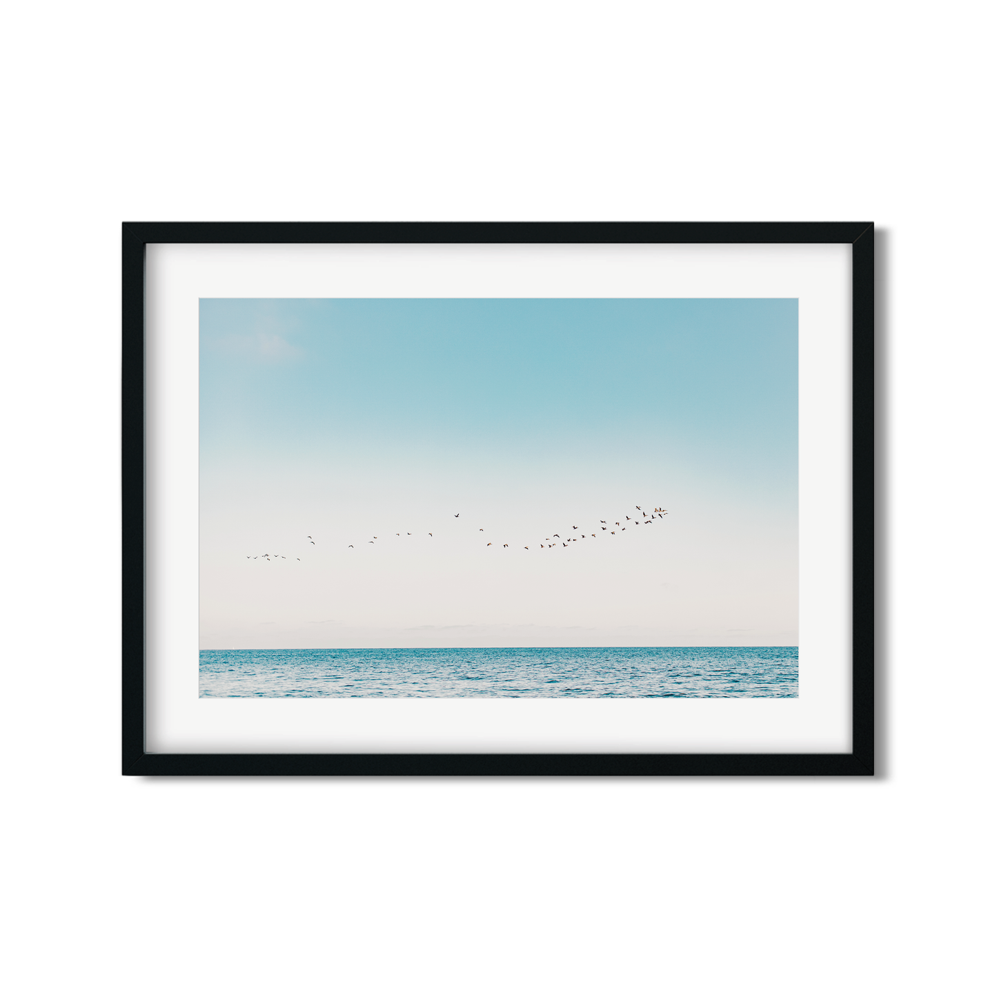 BIRDS NO. 11
