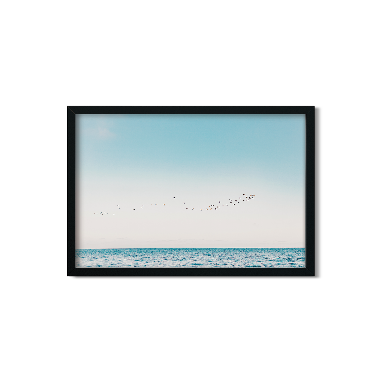 BIRDS NO. 11