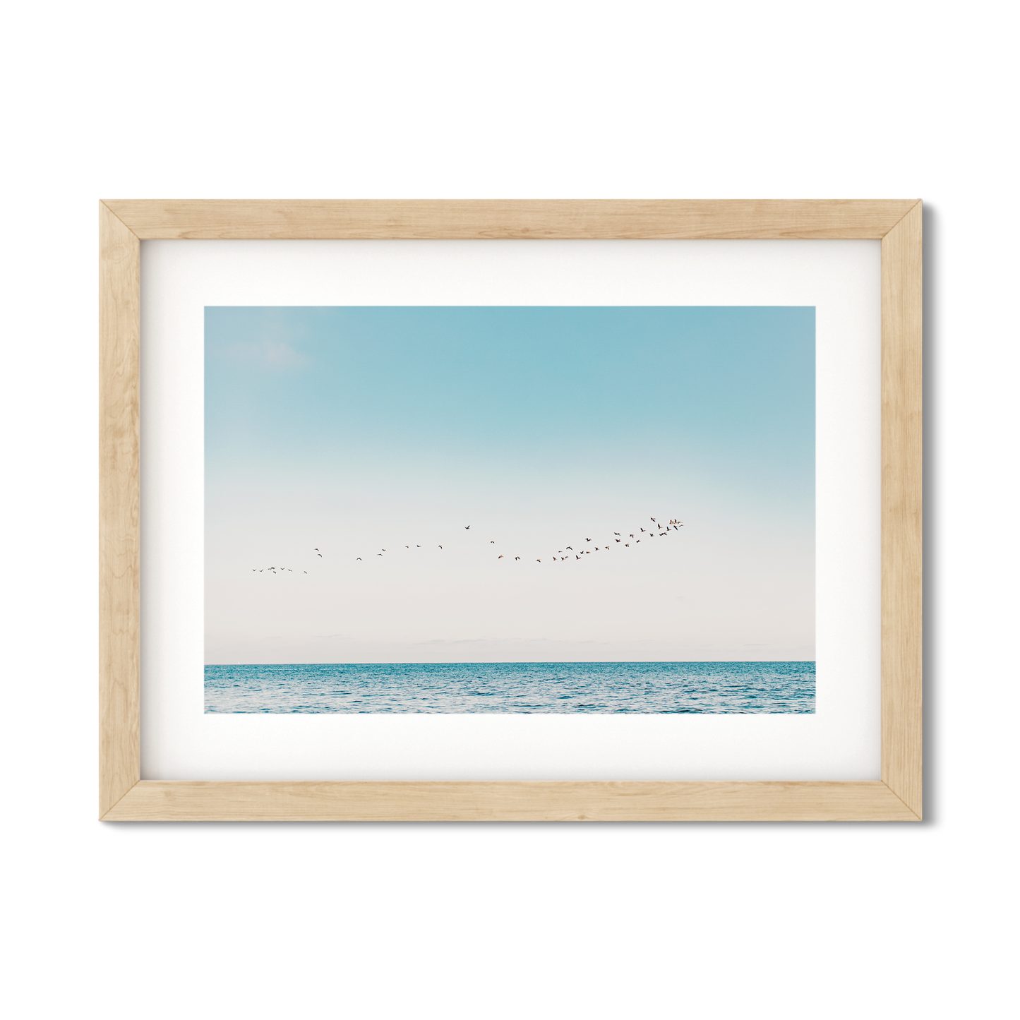 BIRDS NO. 11