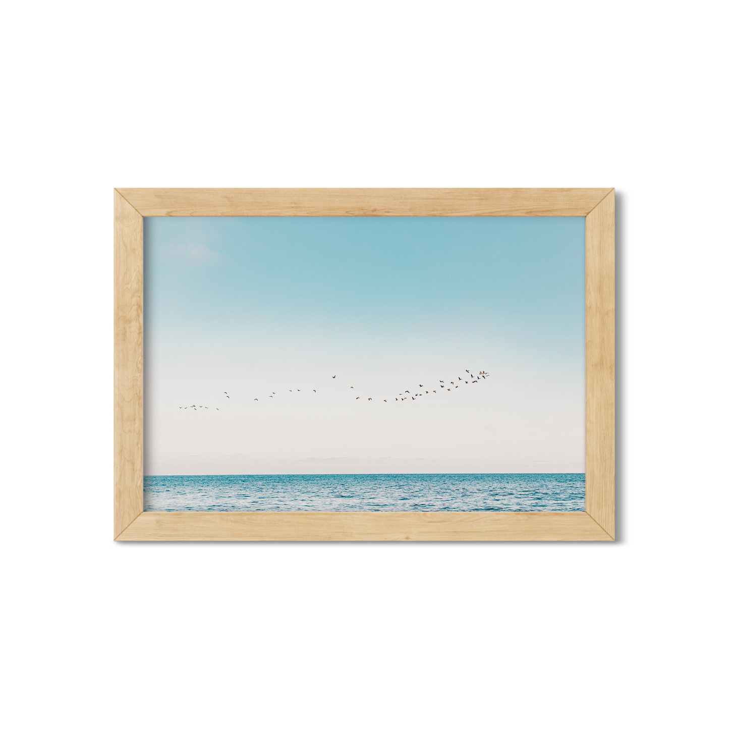 BIRDS NO. 11