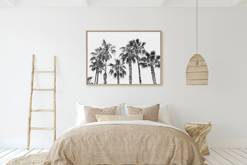 perfect photography shop for interior designers, coastal and palm tree photography - ARIANE MOSHAYEDI FINE ART