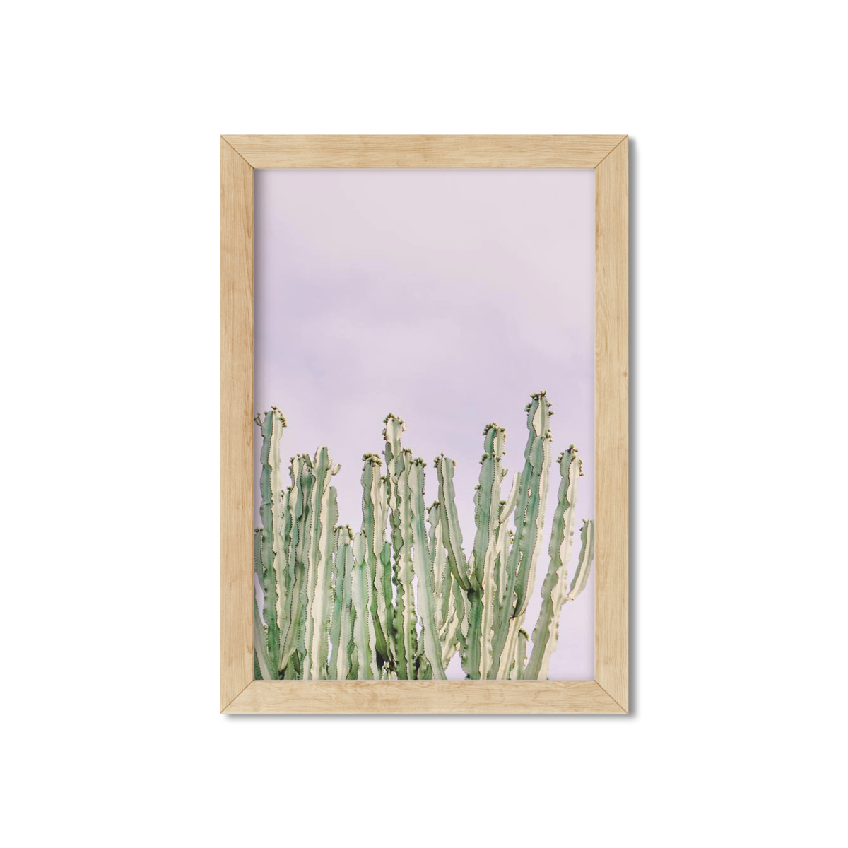 CACTUS NO. 9