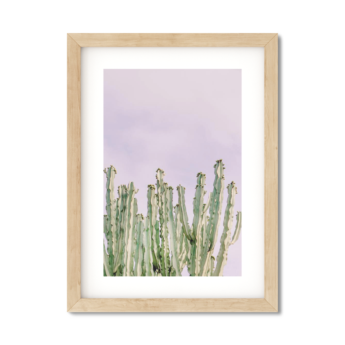 CACTUS NO. 9