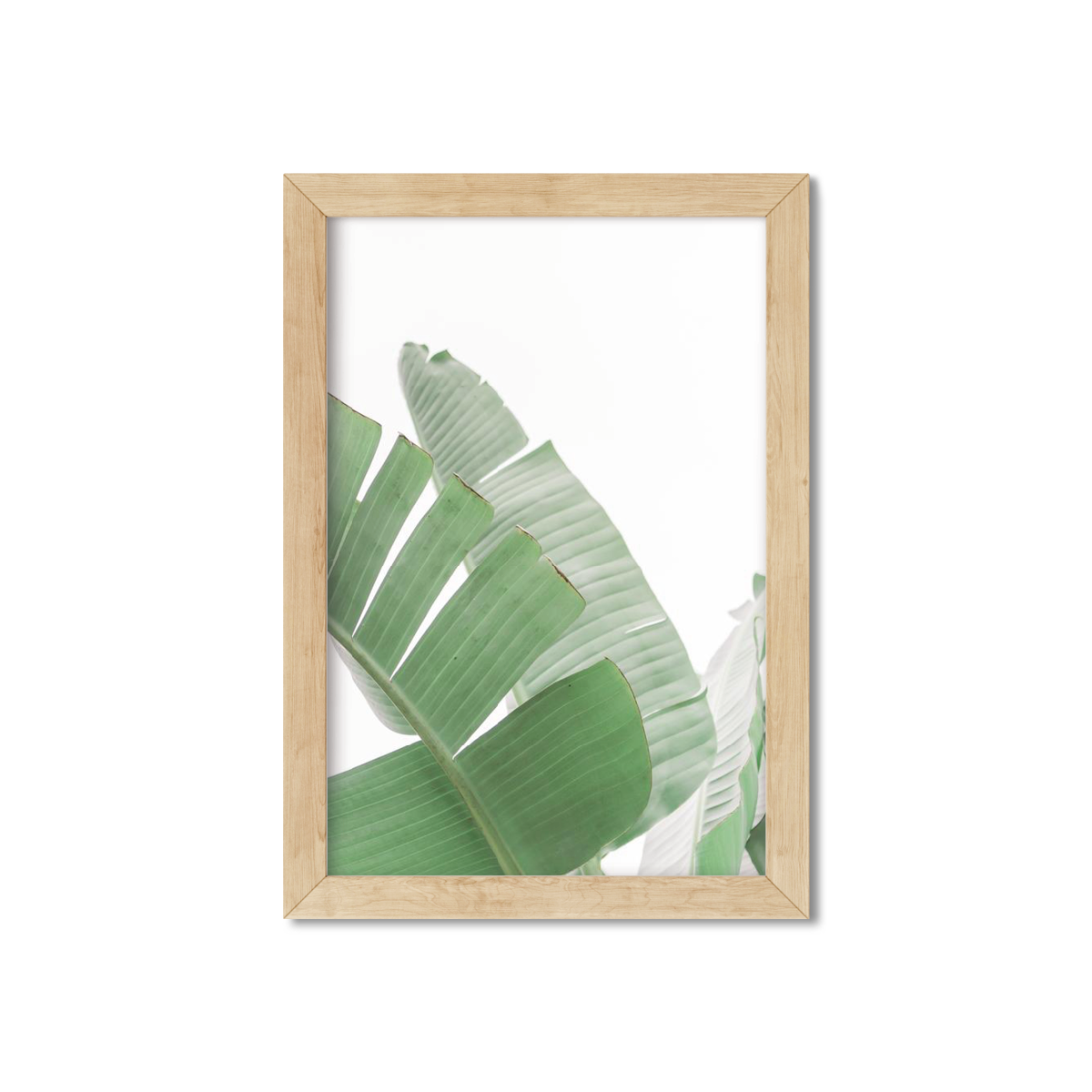 BANANA LEAVES