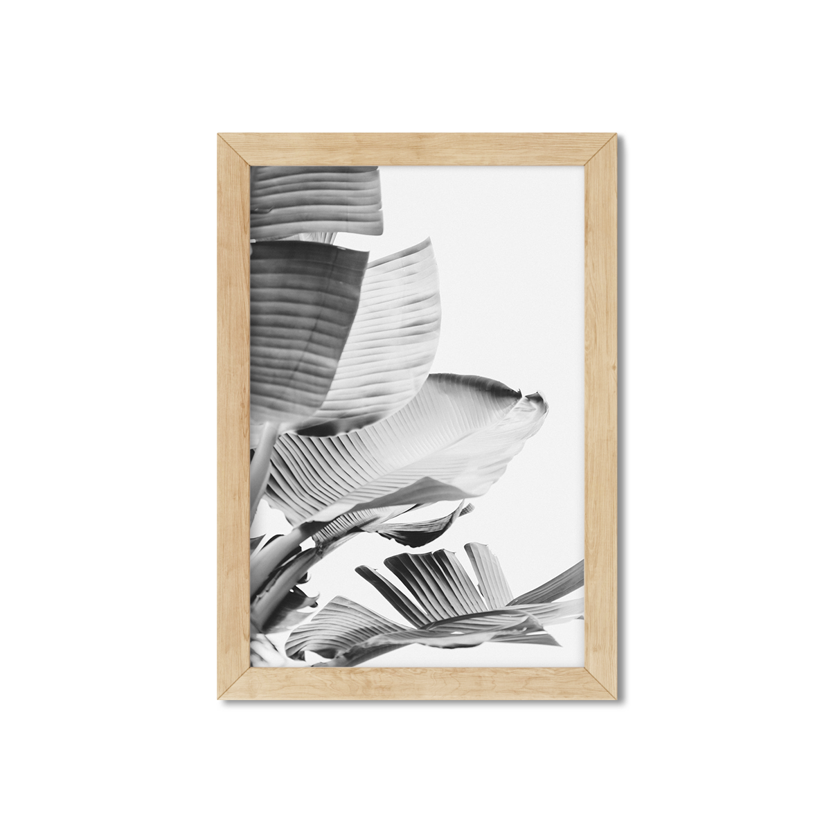 BANANA LEAVES NO. 14