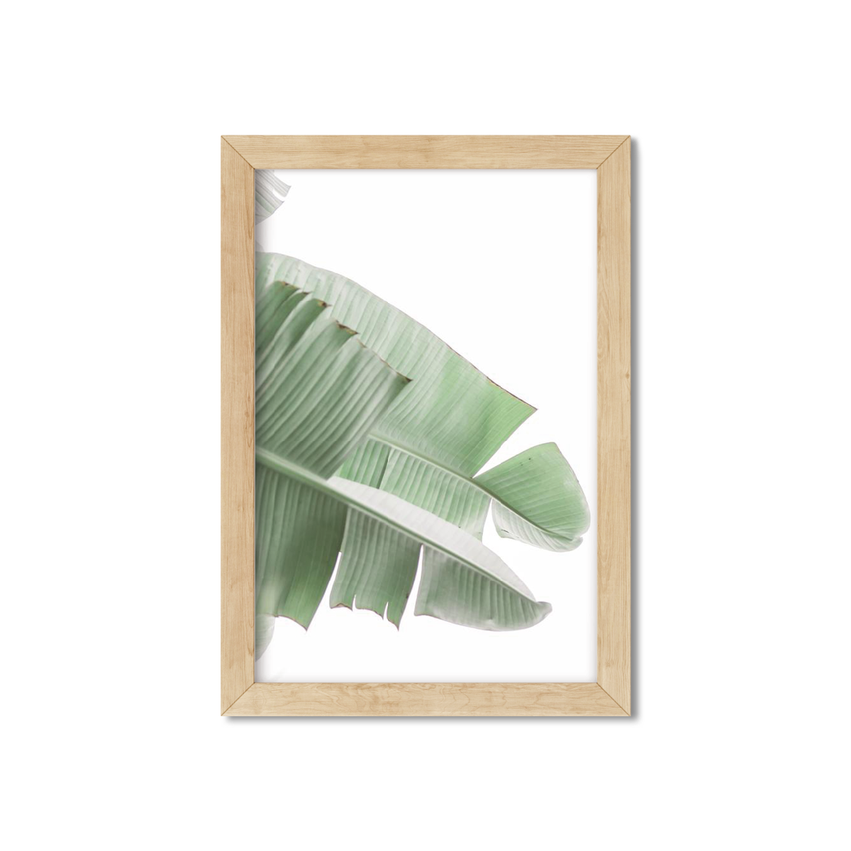 BANANA LEAVES NO. 12