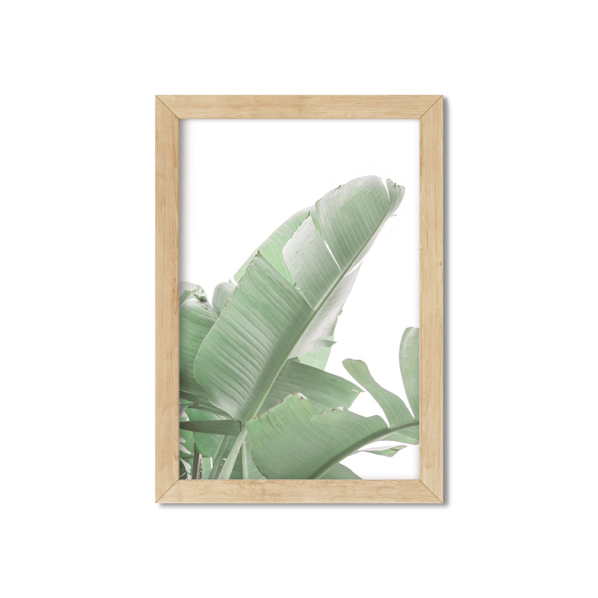 BANANA LEAVES NO. 18