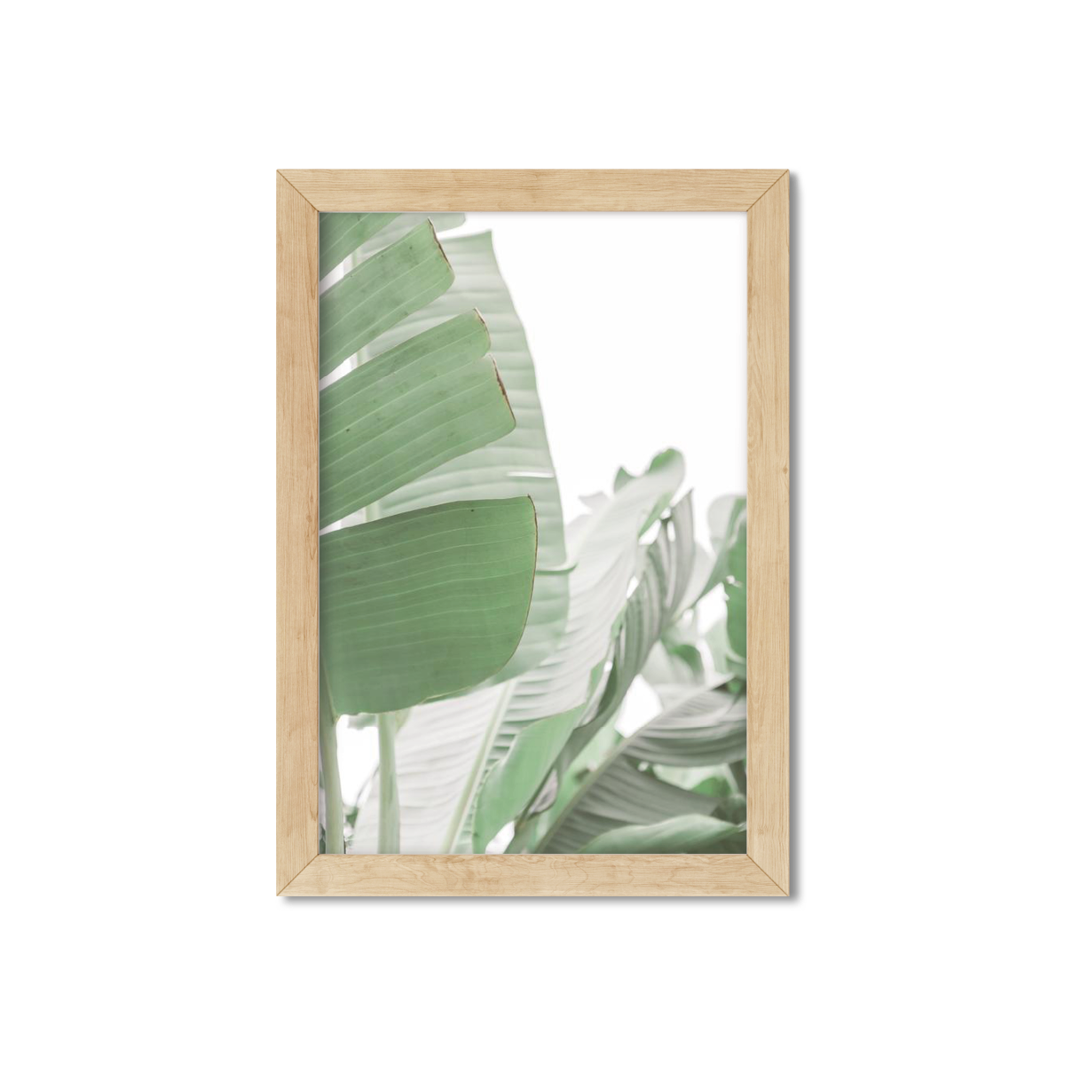 BANANA LEAVES NO. 7
