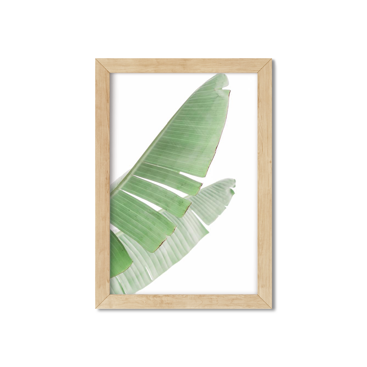 BANANA LEAVES NO. 8