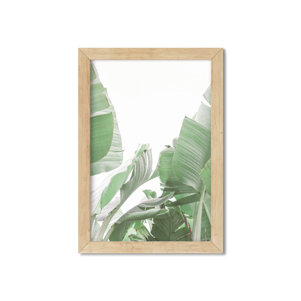 BANANA LEAVES NO. 9
