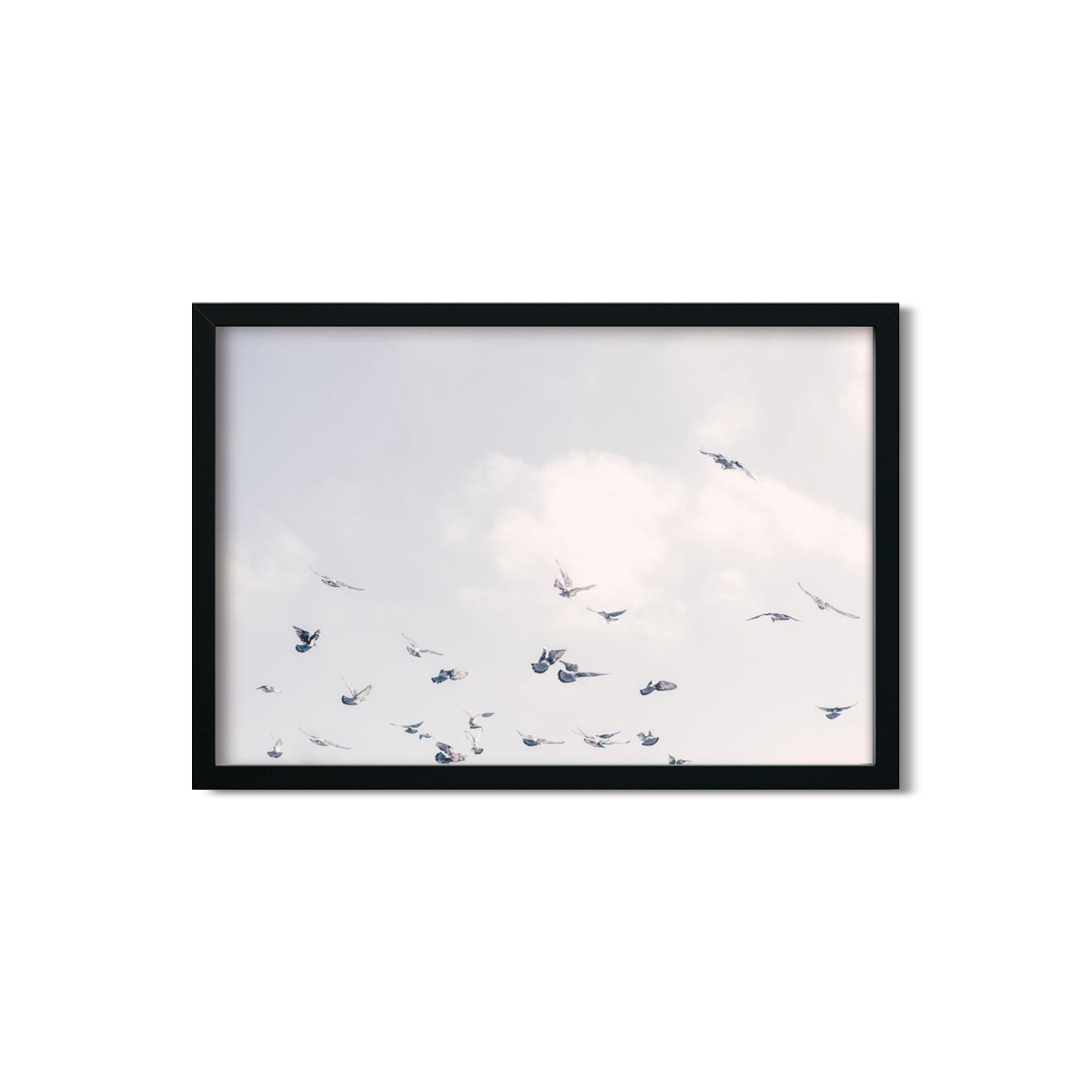 BIRDS