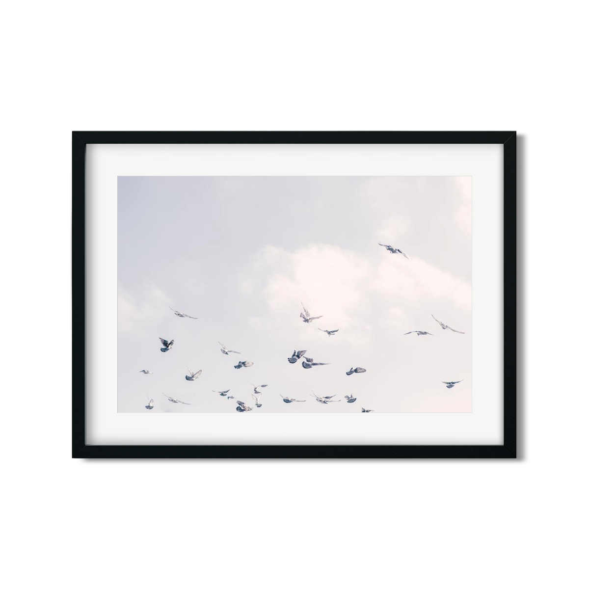 BIRDS