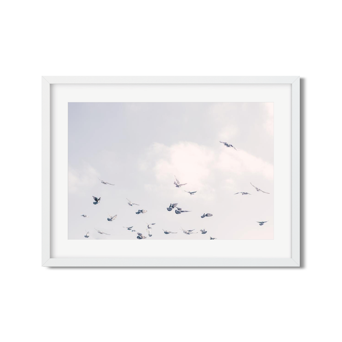 BIRDS