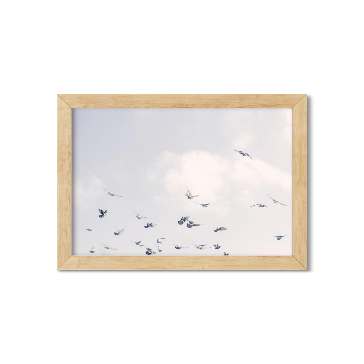 BIRDS
