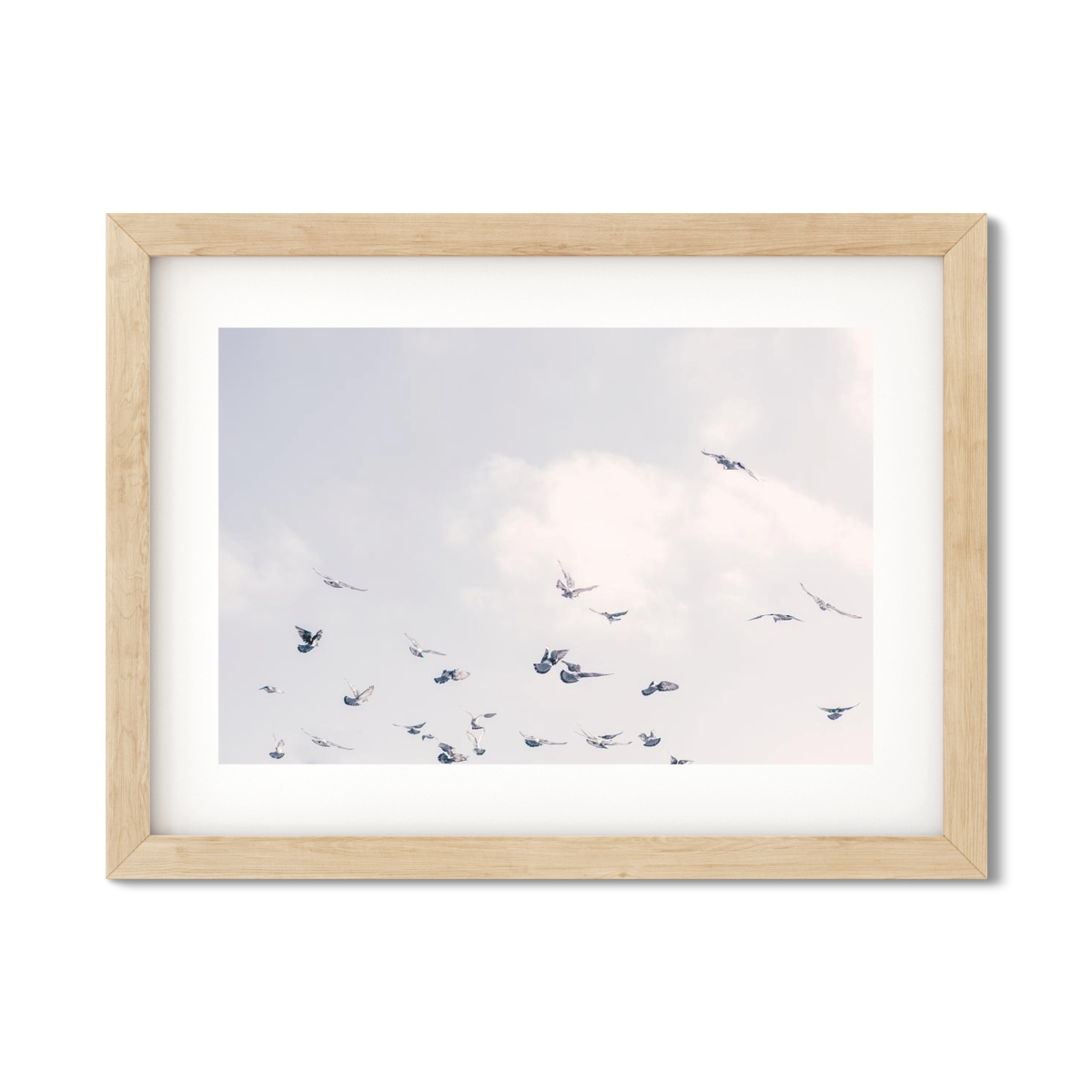 BIRDS