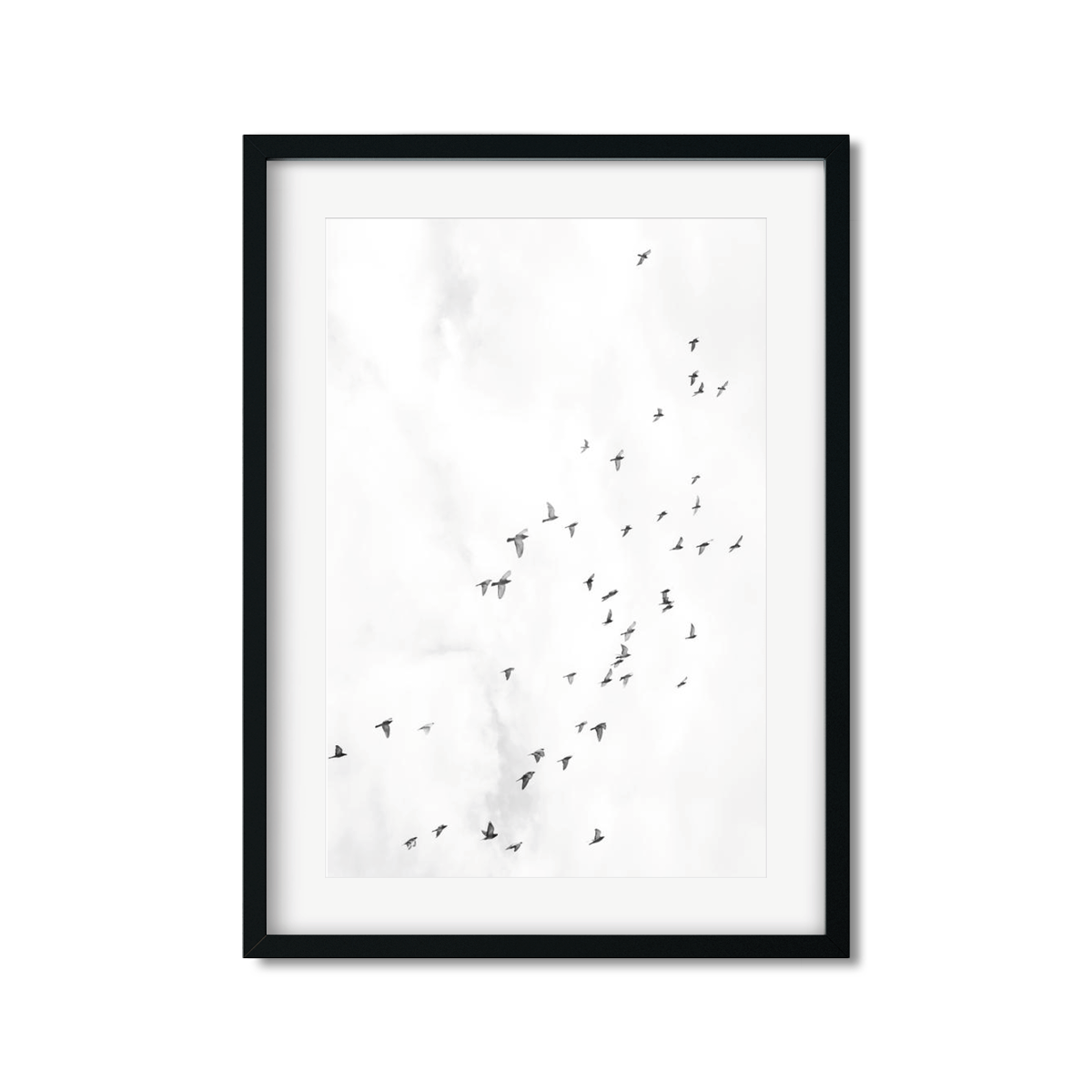 BIRDS NO. 3