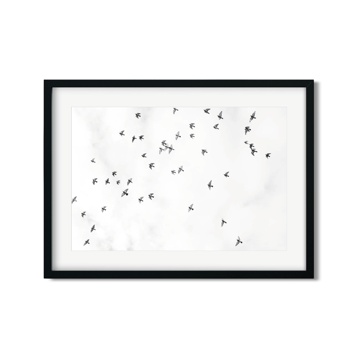 BIRDS NO. 4