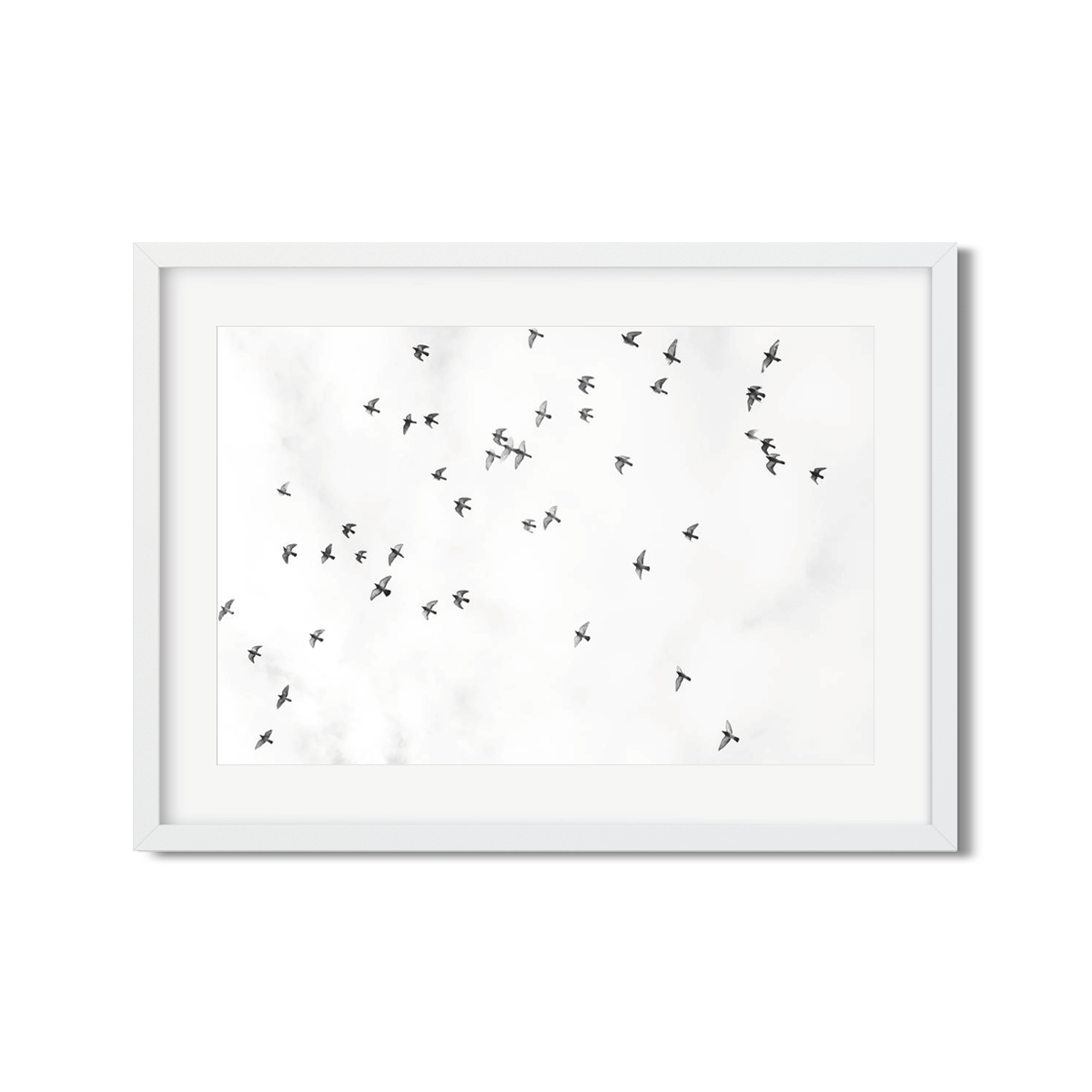 BIRDS NO. 4