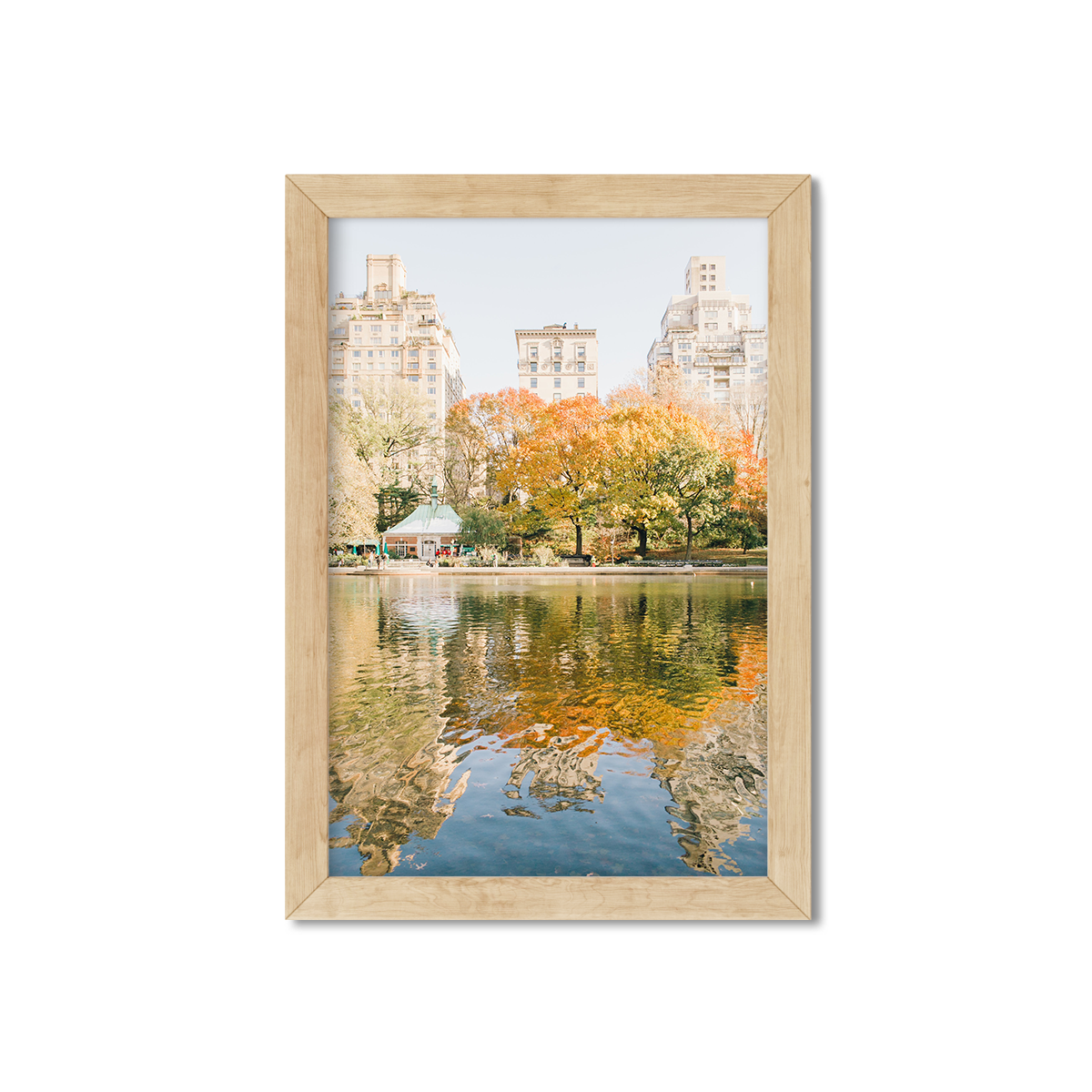 CENTRAL PARK BOAT POND