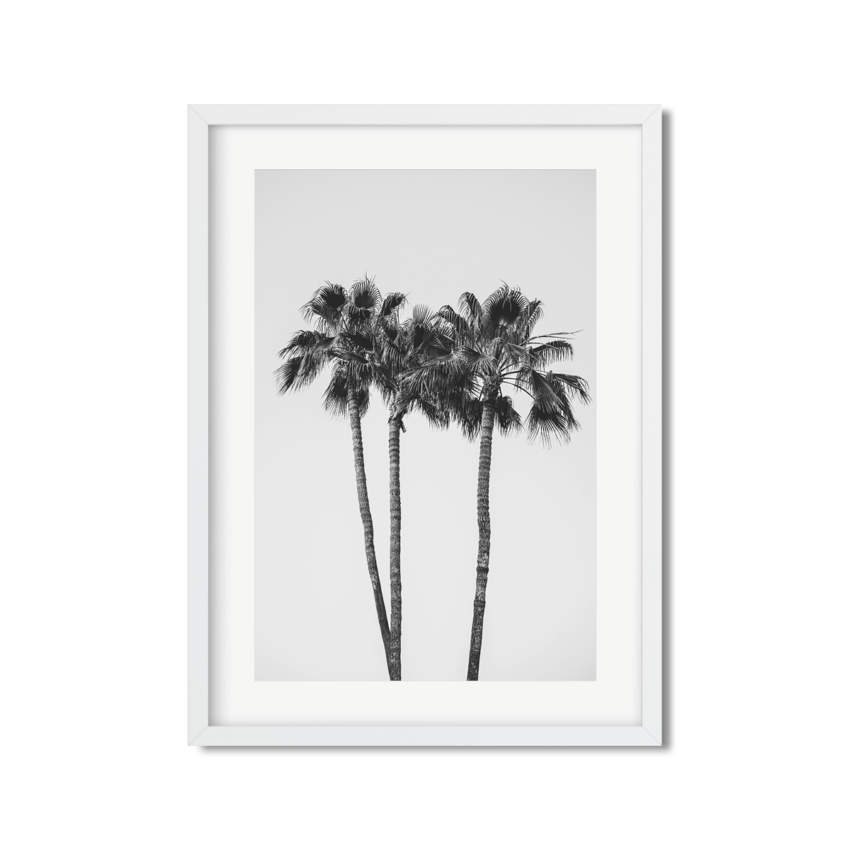 PALM LINE NO. 9