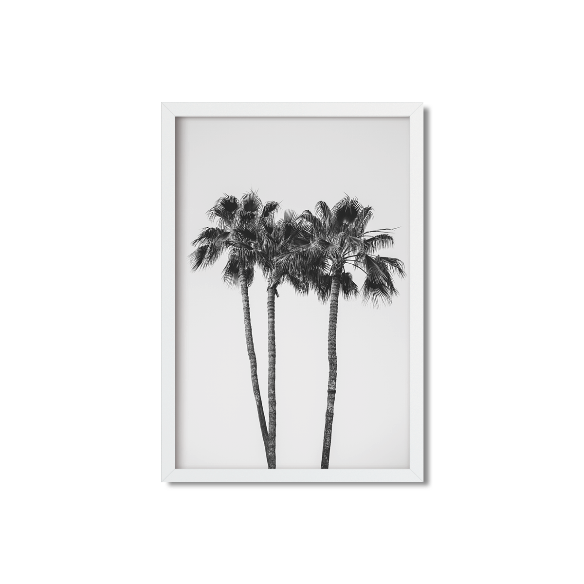 PALM LINE NO. 9