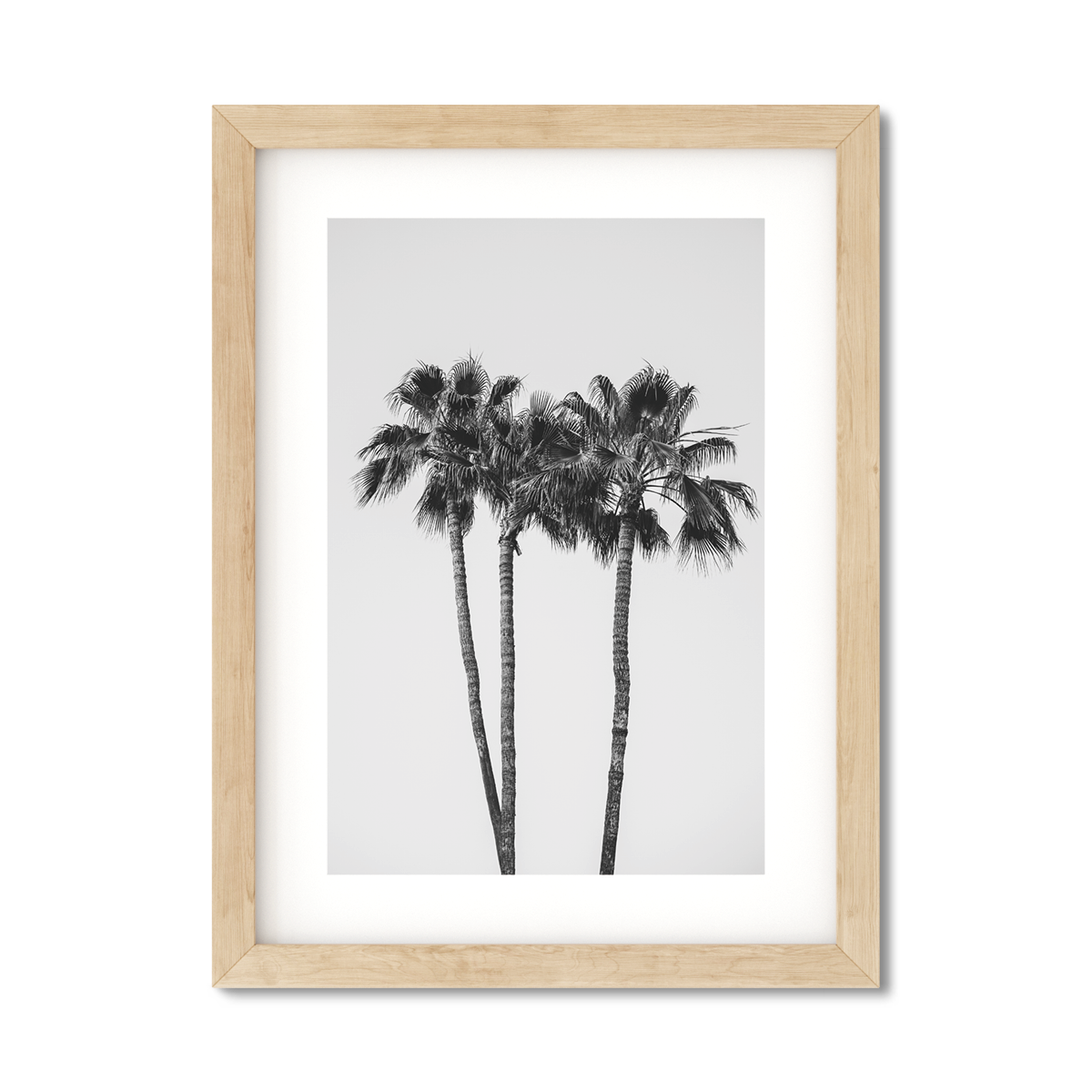 PALM LINE NO. 9