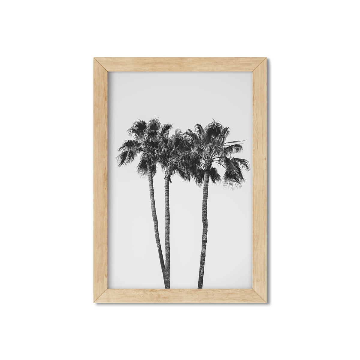 PALM LINE NO. 9