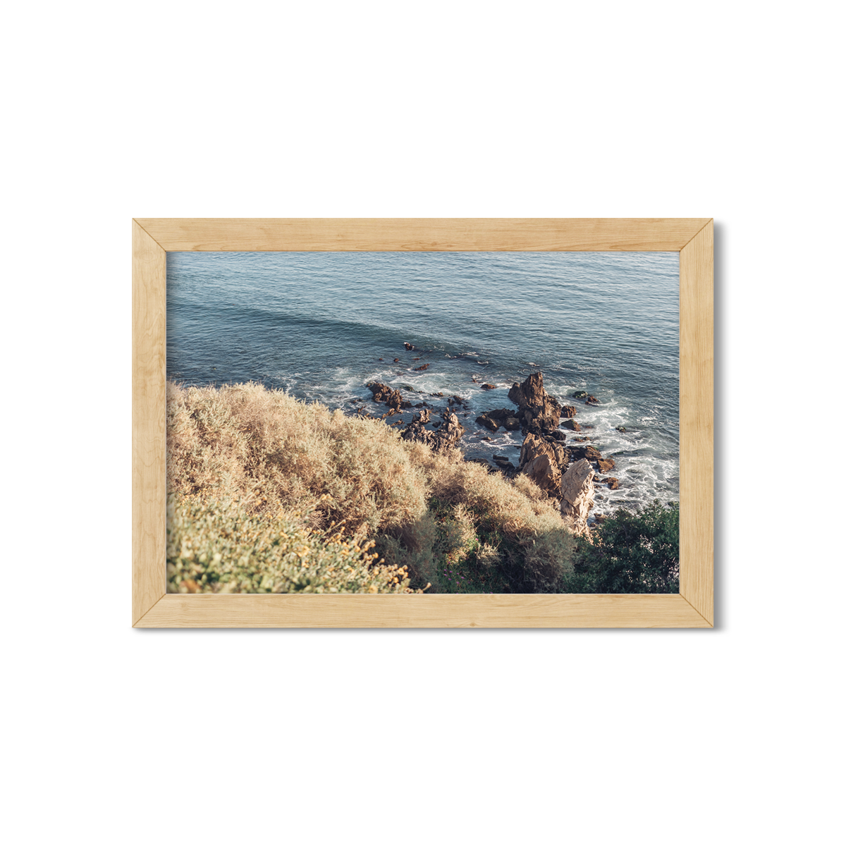 LITTLE CORONA NO. 11