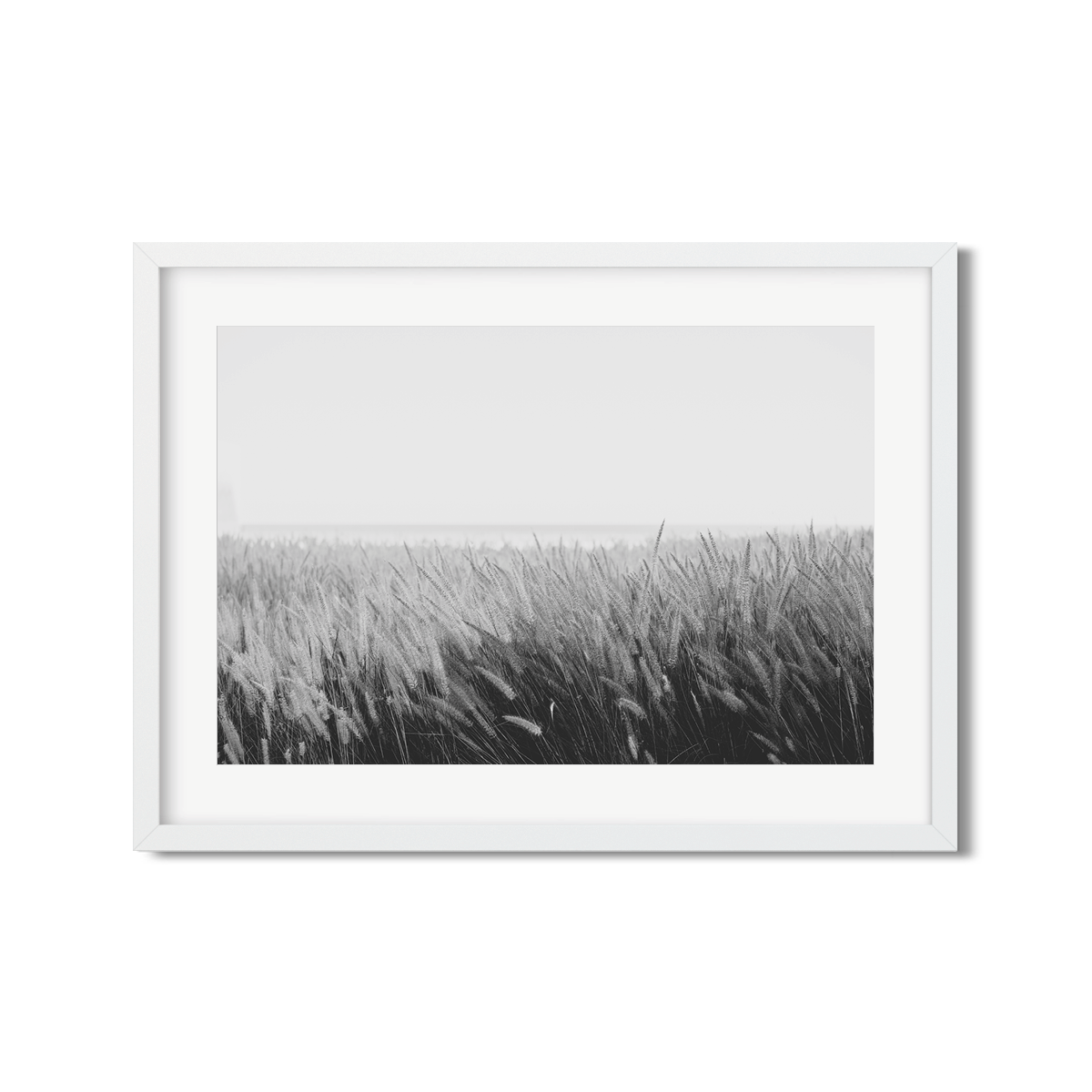 PAMPAS NO. 6