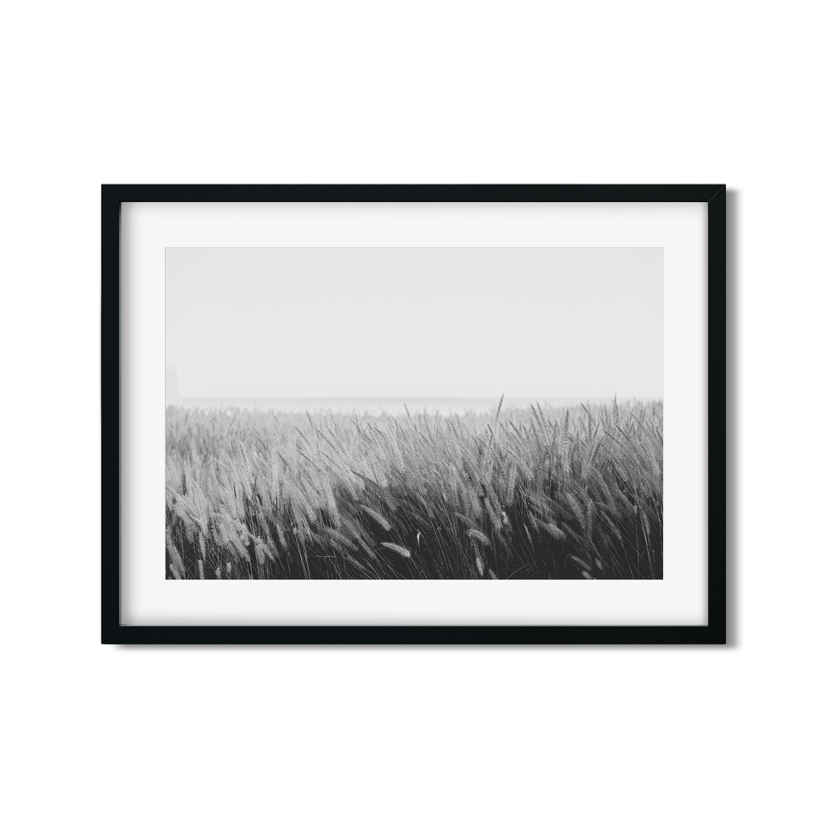 PAMPAS NO. 6