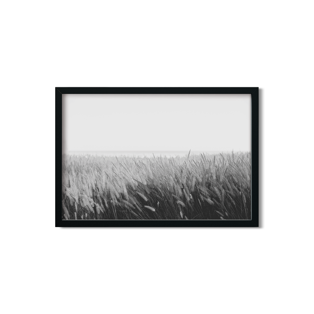 PAMPAS NO. 6