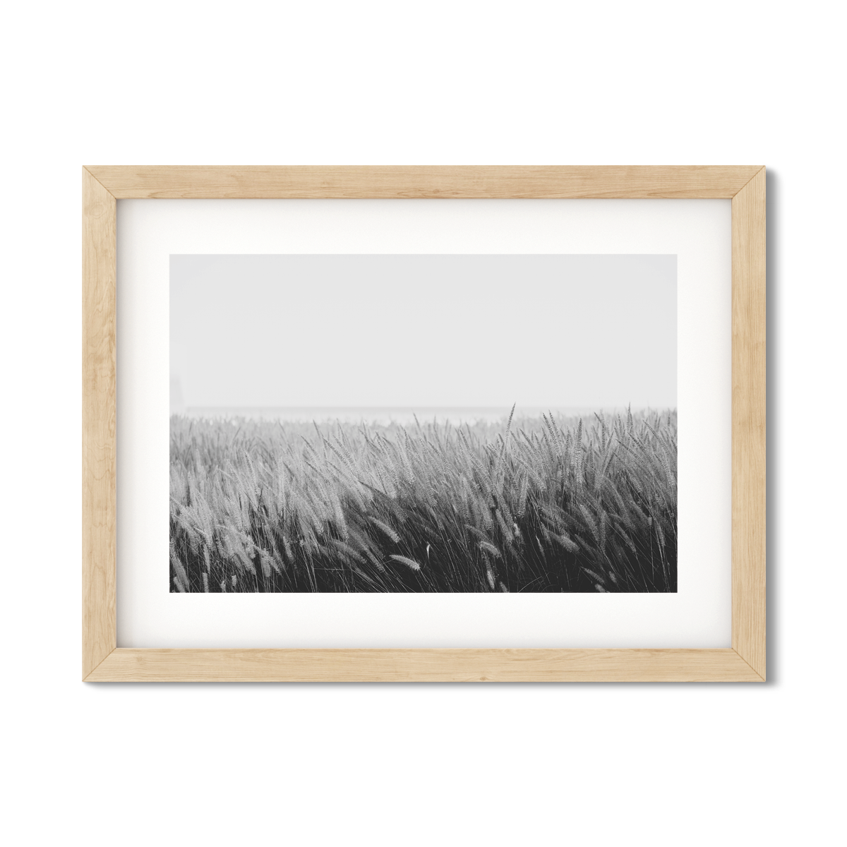PAMPAS NO. 6