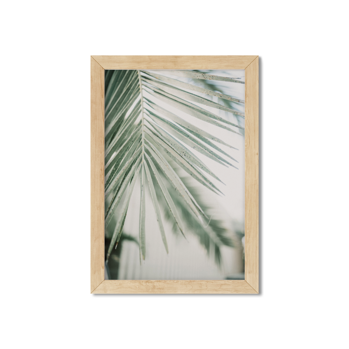 PALM FRONDS NO. 4