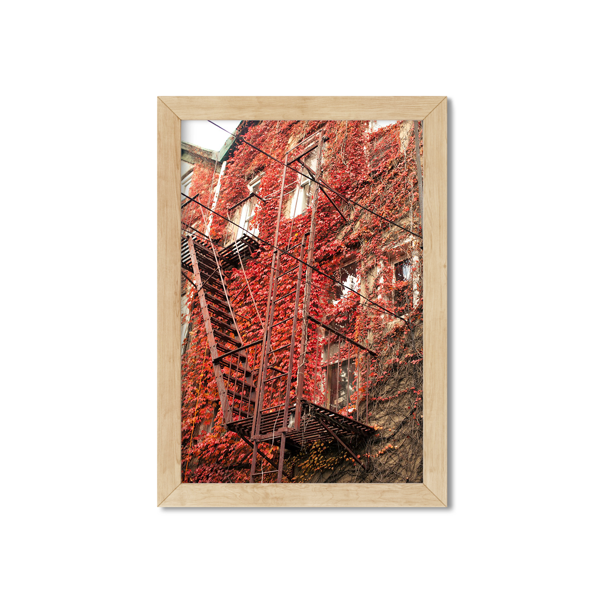 FALL IN BROOKLYN NO. 2