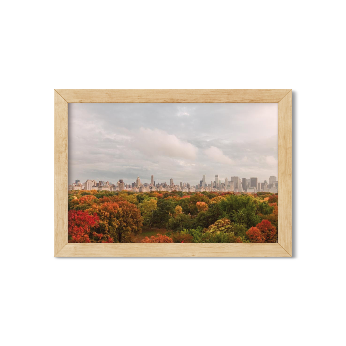 FALL IN CENTRAL PARK