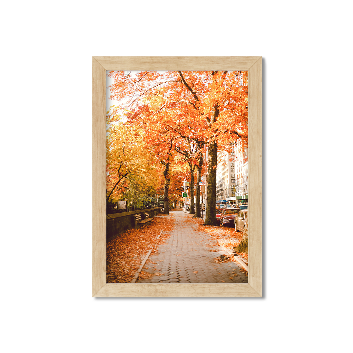 FALL IN CENTRAL PARK NO. 2