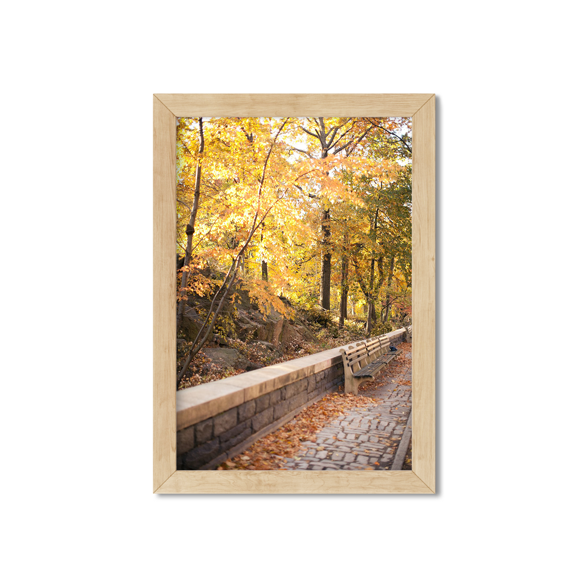 FALL IN CENTRAL PARK NO. 5