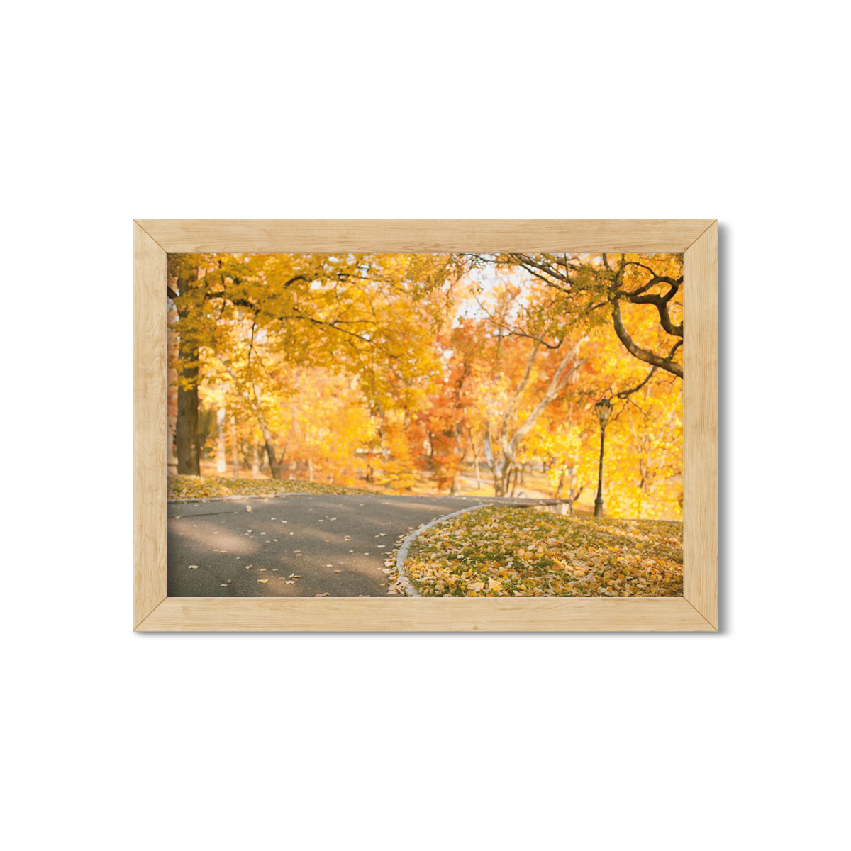 FALL IN CENTRAL PARK NO. 6