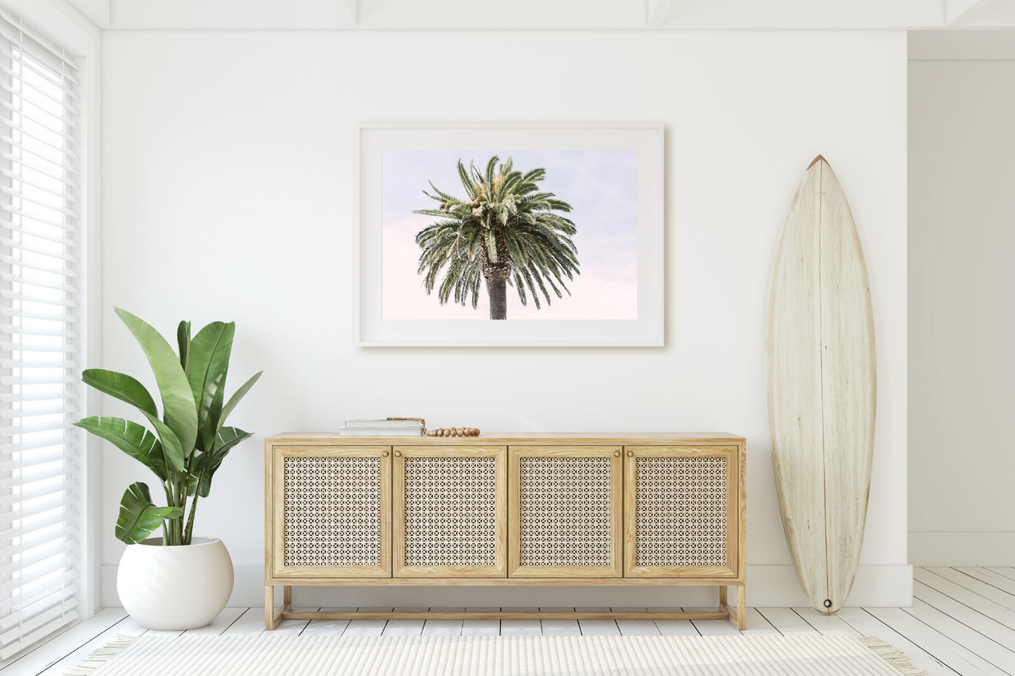 CANARY PALM