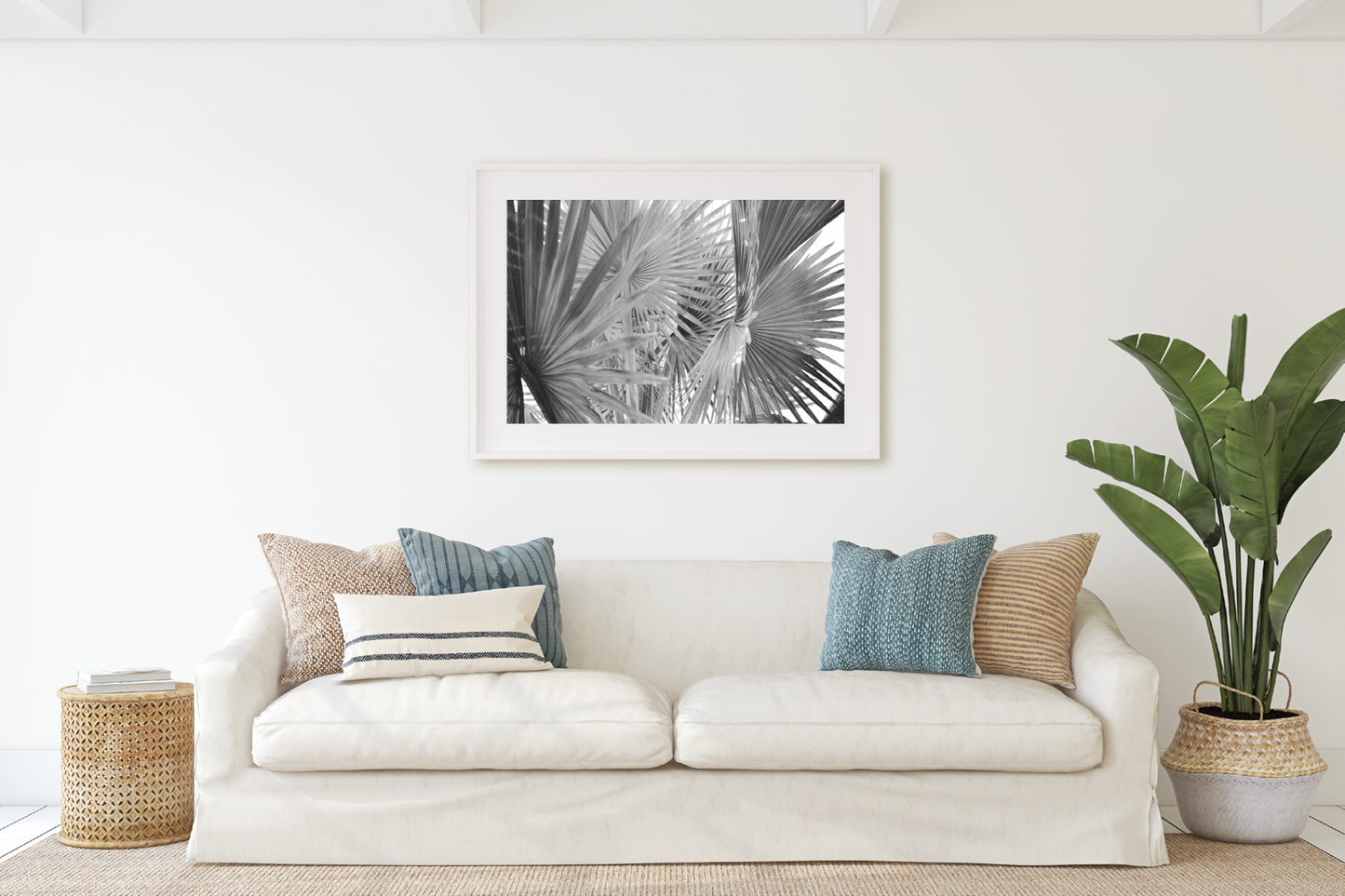 FAN PALM NO. 2