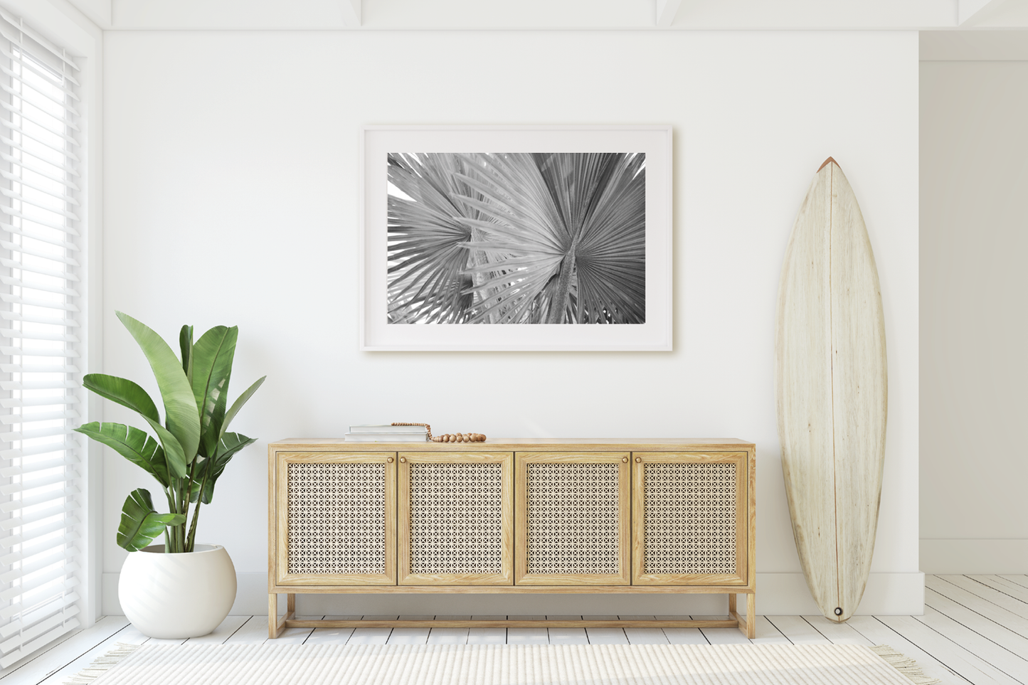 FAN PALM NO. 3
