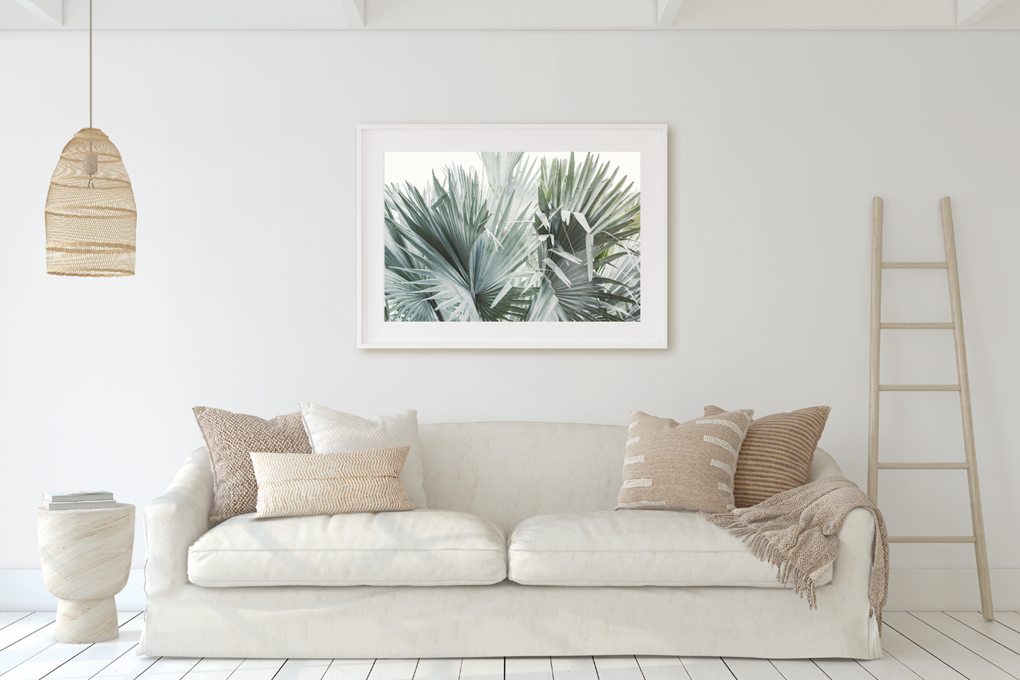 FAN PALM NO. 11