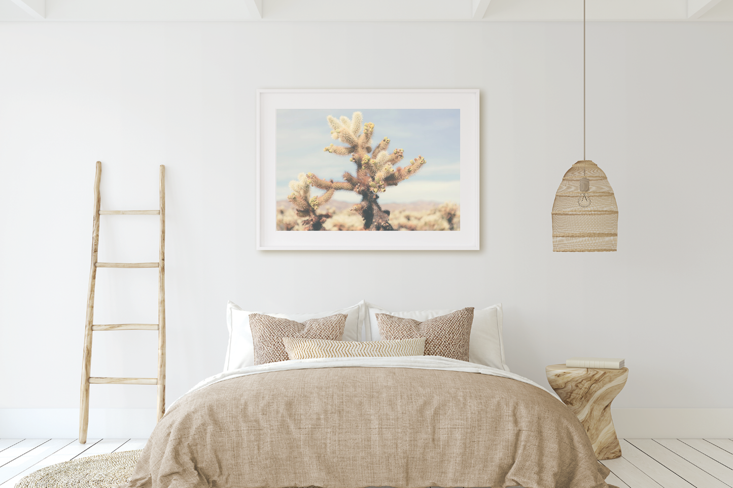 CHOLLA CHOLLA NO. 6