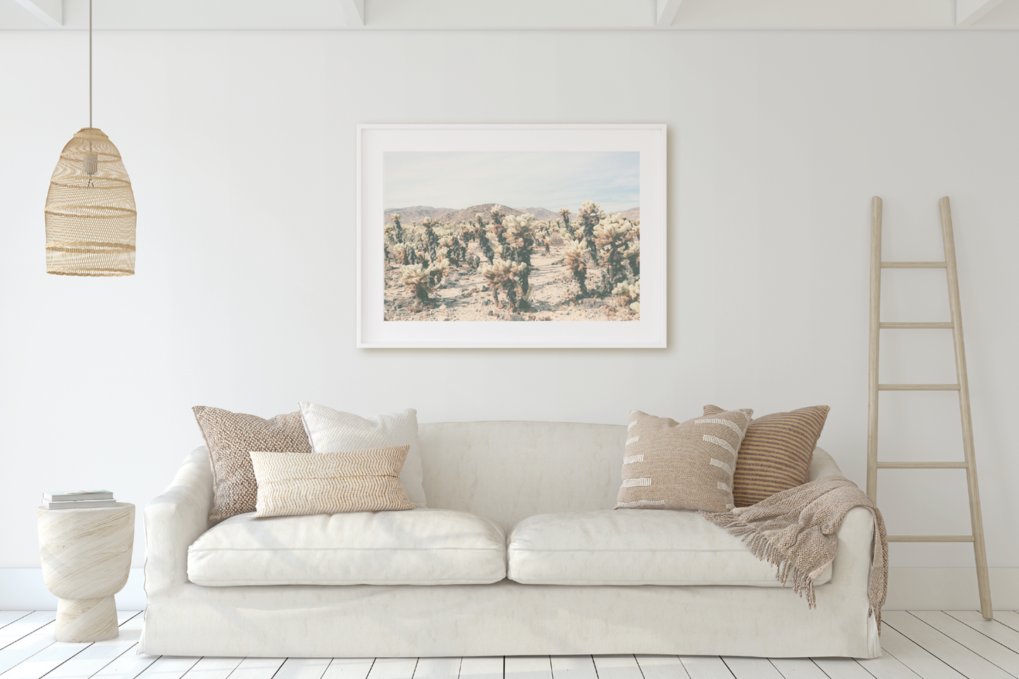 CHOLLA CHOLLA NO. 8