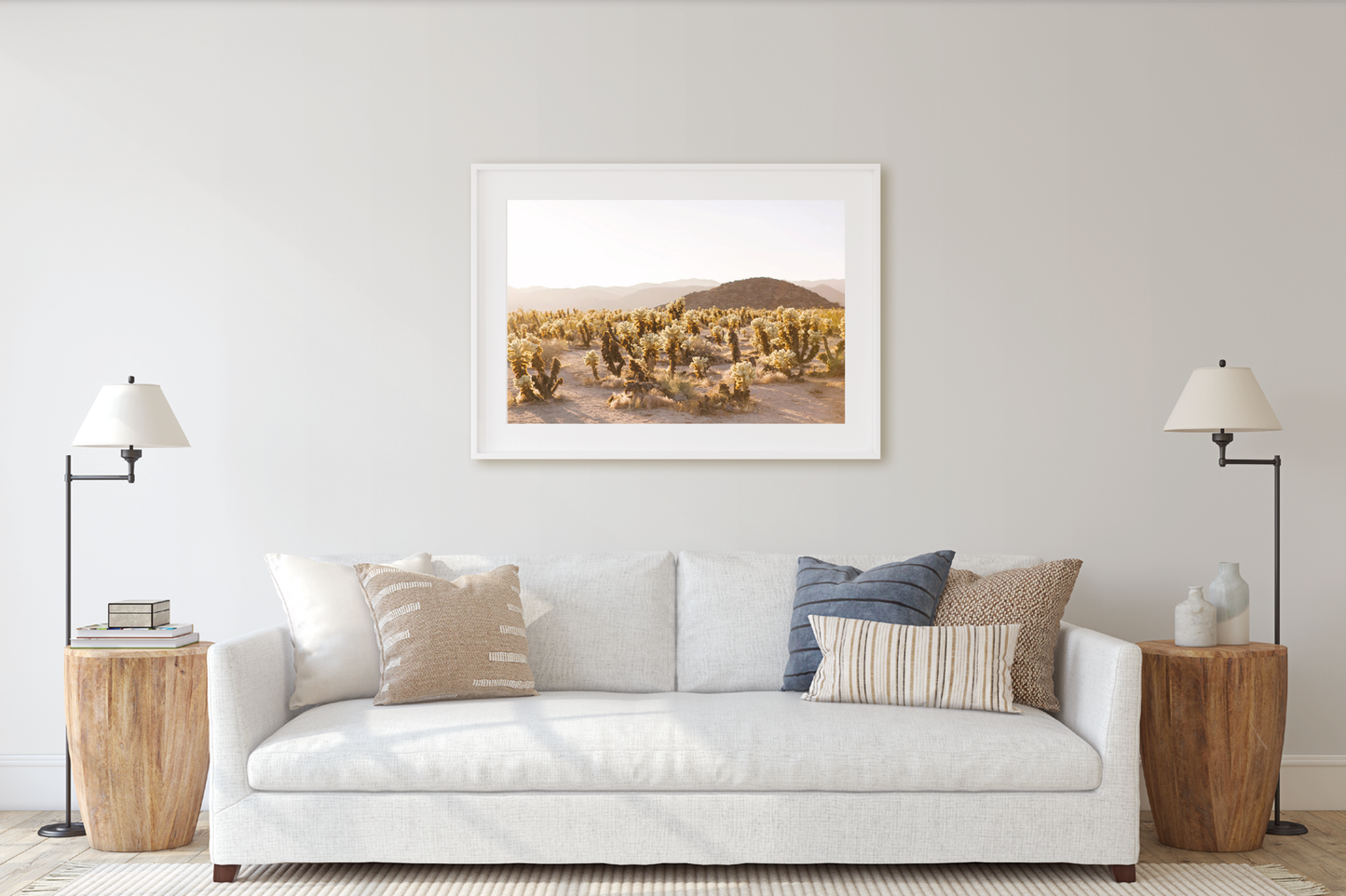 CHOLLA CHOLLA NO. 2