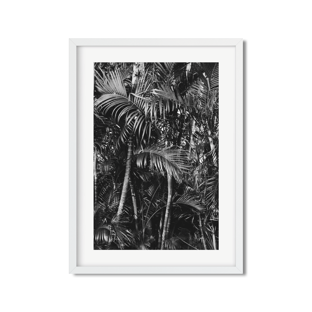 HAWAIIAN PALM TREES