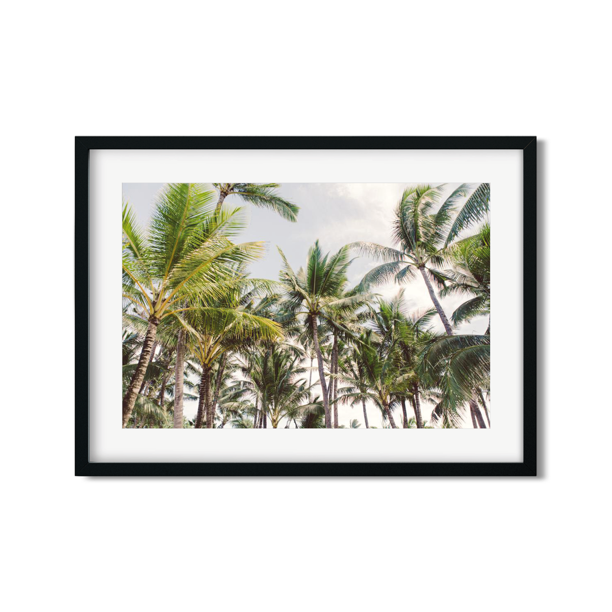 HAWAIIAN PALM TREES NO. 10